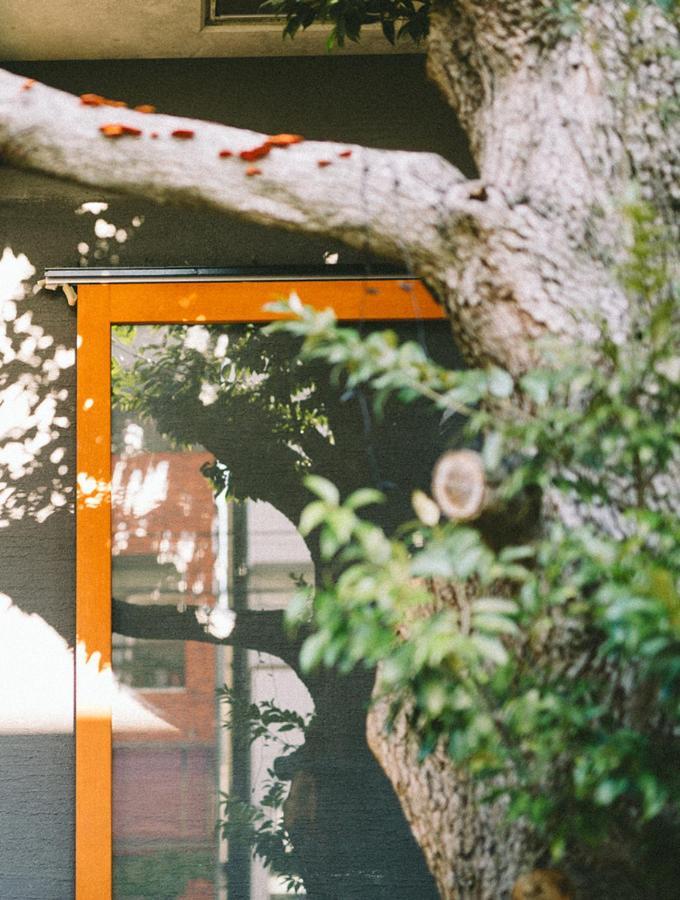 Treeside Yugawara Exterior foto